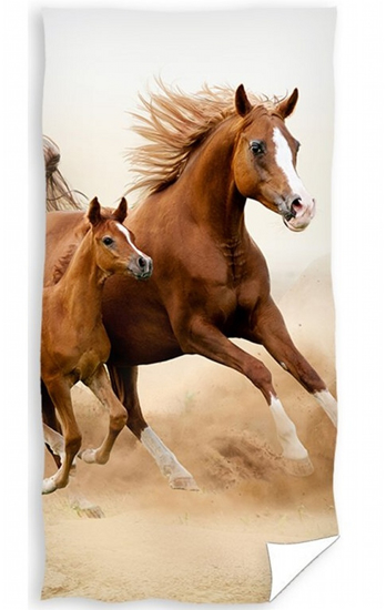 Obrázok z Osuška Kůň Ryzák a hříbě 70x140 cm